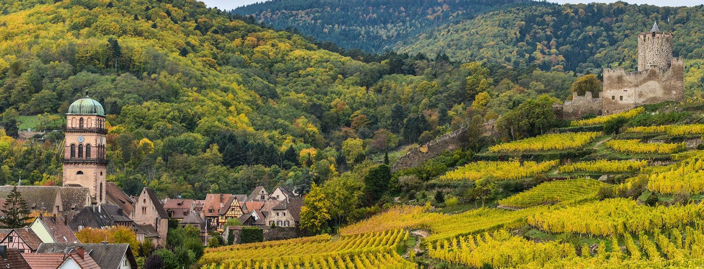 Alsace vinodlningar