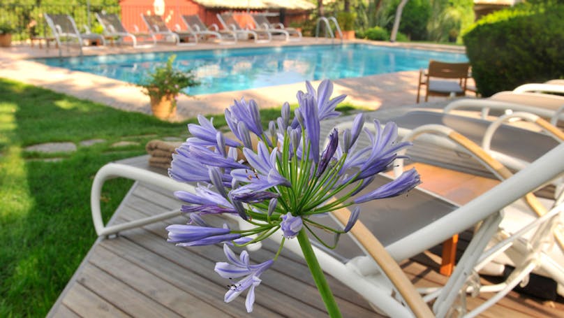 Get Strand tema udendors udsmykning For Free Strand Tema Udendors Udsmykning