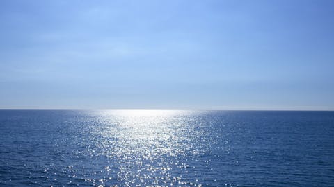 Hertz gouda Hertz gouda