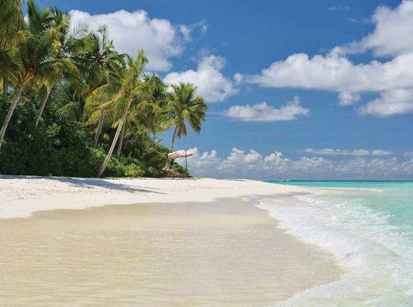 Download Tropisk strand sovevaerelse For iPhone Tropisk Strand Sovevaerelse