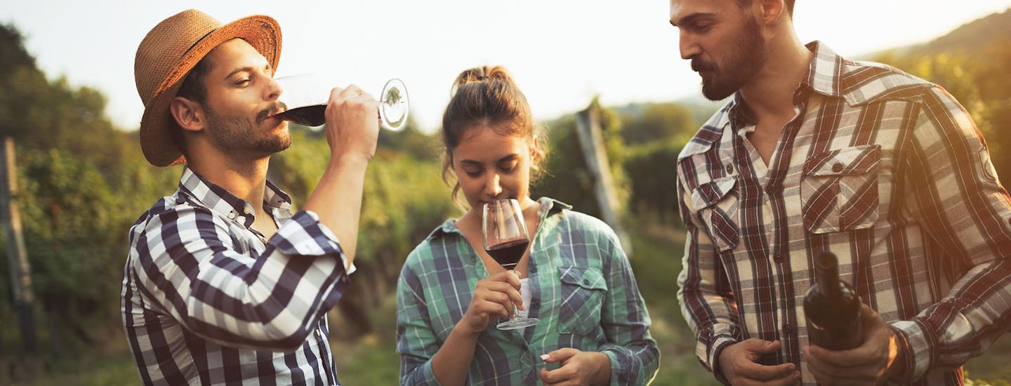 För vinälskare kan vi även erbjuda vingårdssemester
