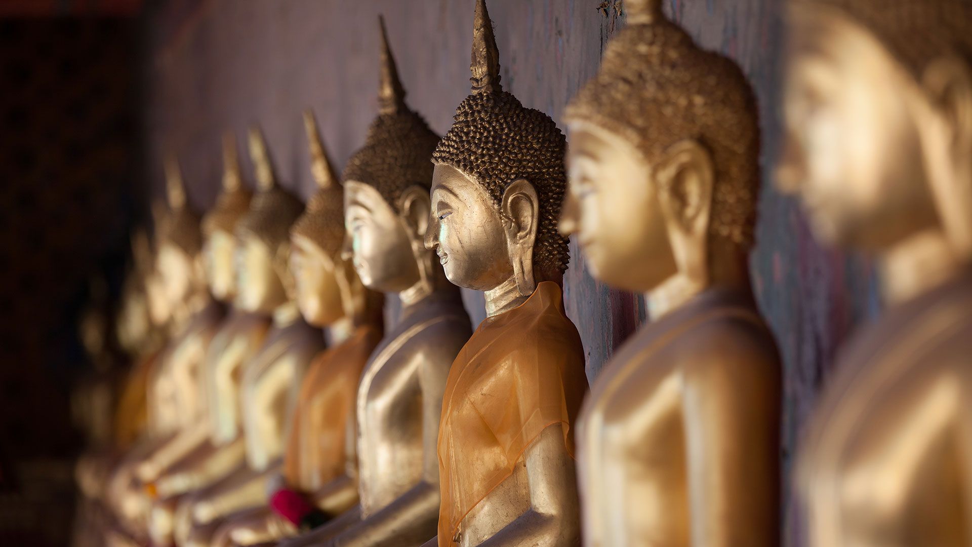 Расы для будды. Два медитирующих Будды. Будда медитация картина по номерам. Статуэтка Будды значение.